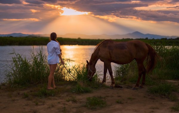 Лошадь на берегу реки