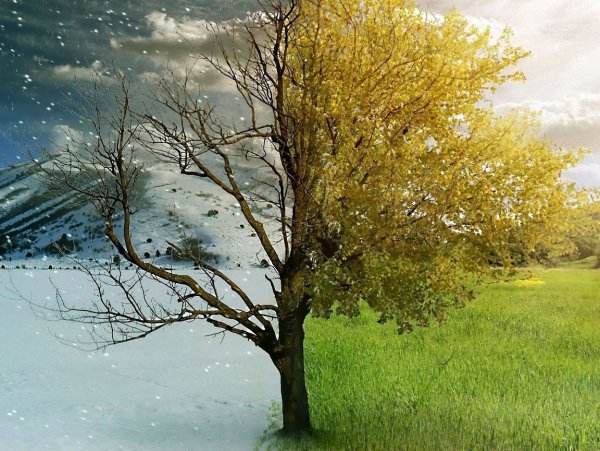 Времена года зима Весна лето осень
