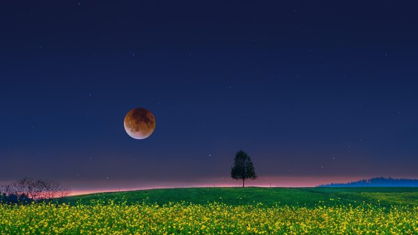 Вечер Луна в деревне