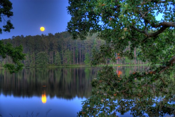 Луна в поле