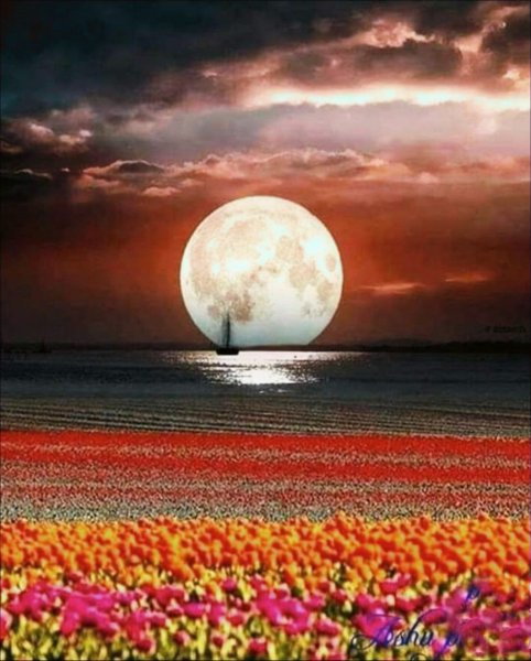 Природа Луны