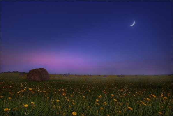 Лунная летняя ночь в деревне