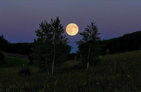 Ночное море