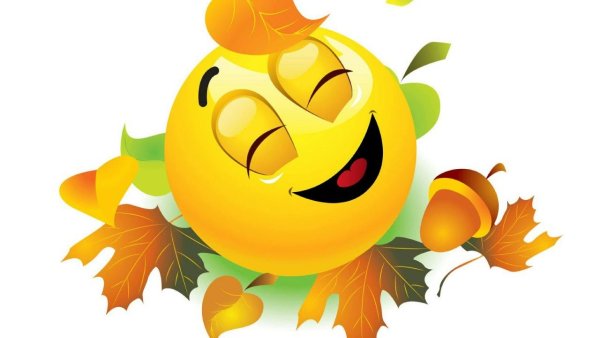 Лето солнце жара