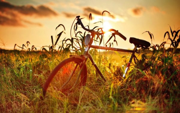 Смешное лето