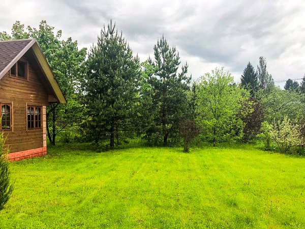 Летом на даче