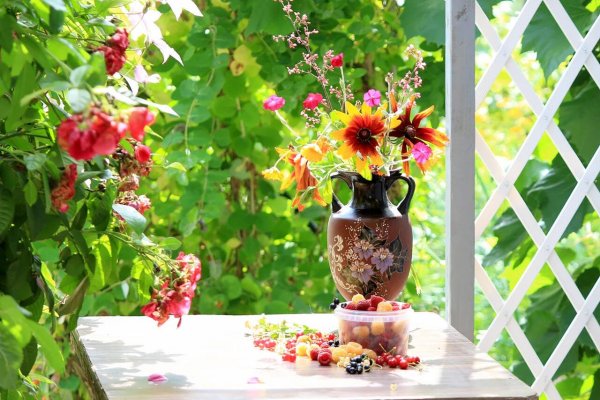 Летом на даче