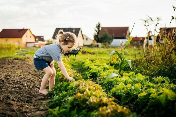 Дети летом на даче