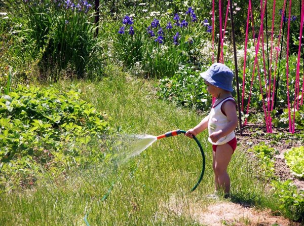 Красивая дача