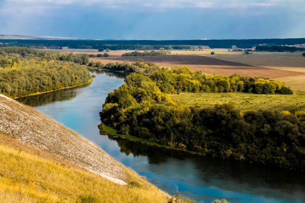 Берег реки Дон Лиски