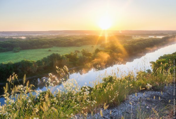 Донской пейзаж Ростовской области