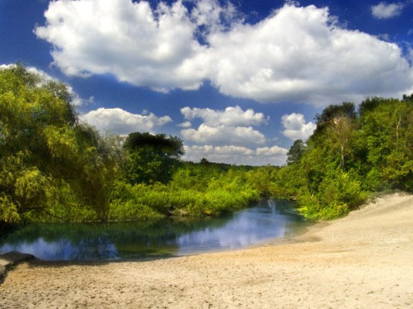 Берег реки Воронеж