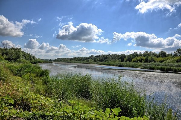 Донской пейзаж Пухляковская станица
