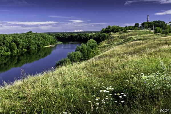 "Тихий Дон", берег реки