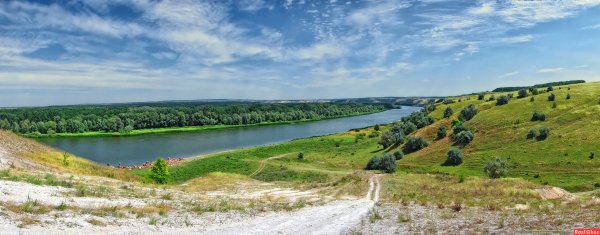 Дерезовка Дон