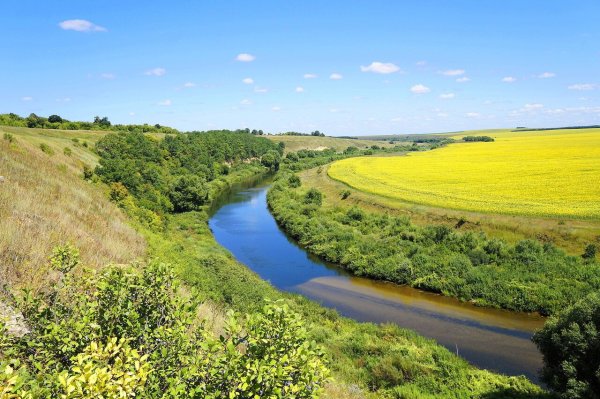 Река Олым Липецкая