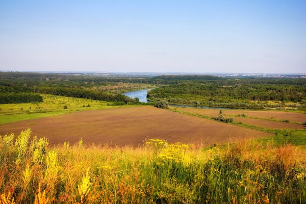 Река Дон в Павловске