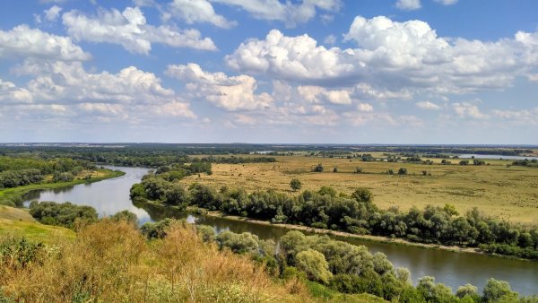 Фото реки Дон в Воронежской области