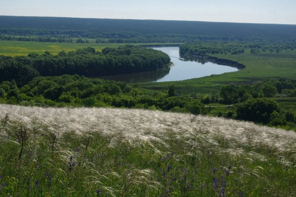 Хохольский район Воронежской природа