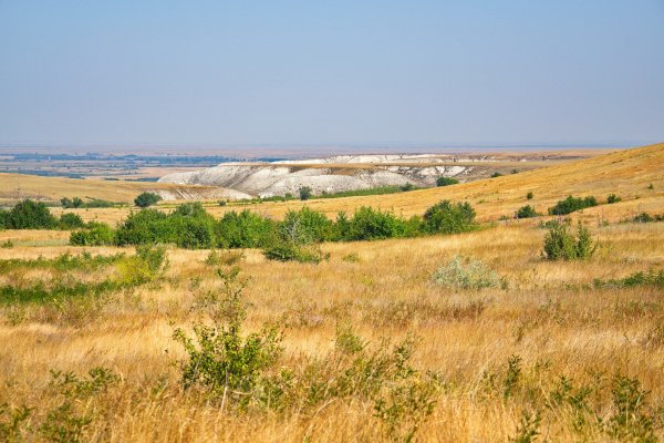 Донская степь Ростовская область