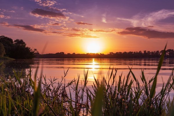 Природа Азовского района Ростовской области