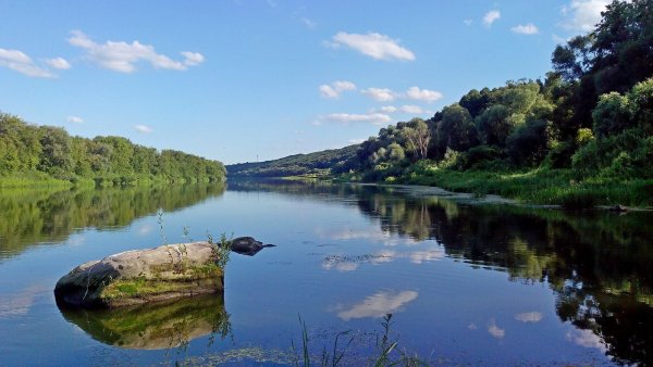 Река Дон в Тульской области Донской