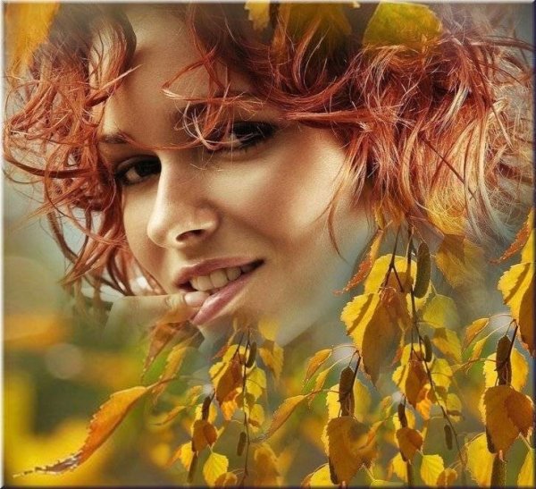 Животные с одуванчиками