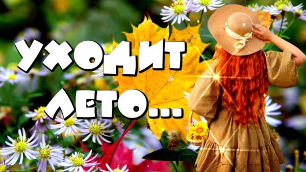 До свидания лето