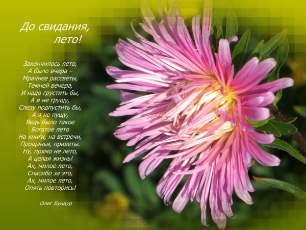 До свидания лето