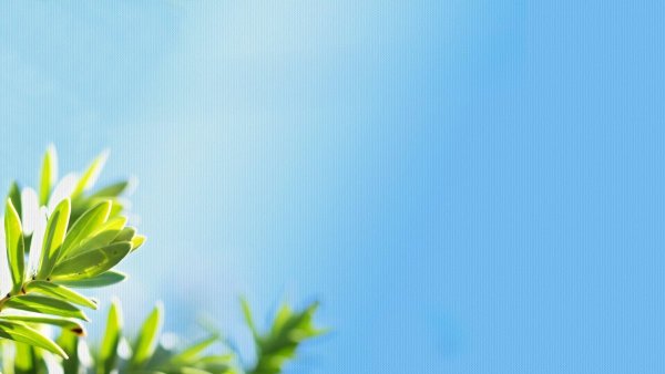 Весенний фон для презентации