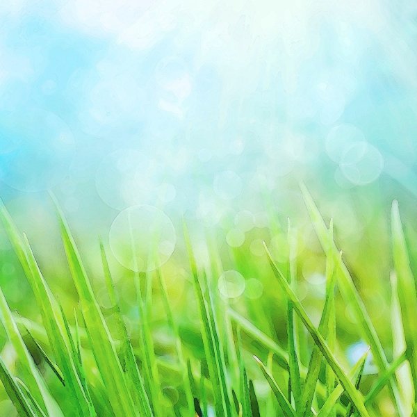 Весенний фон