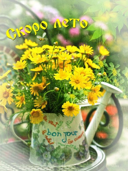 Открытка с надписью с летним днем