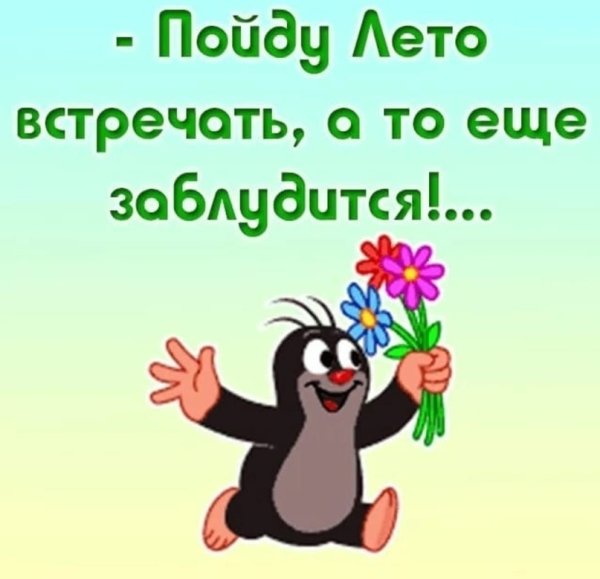 Смешные фразы про Холодное лето