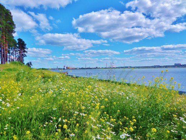 Ижевск природа