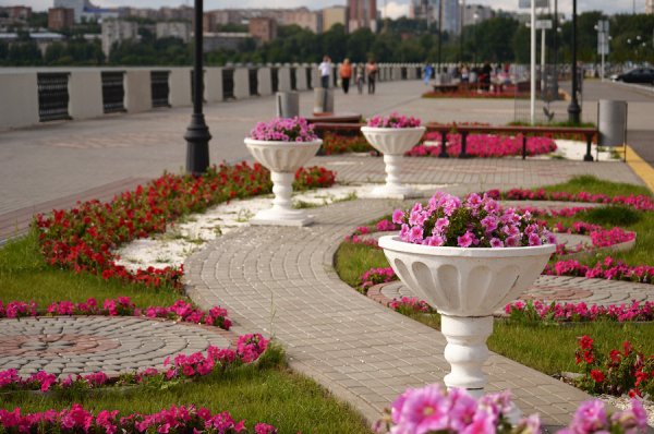 Цветники на набережной