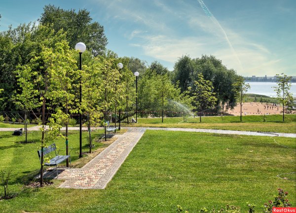 Ижевск лето