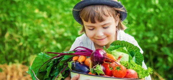 Огород для детей