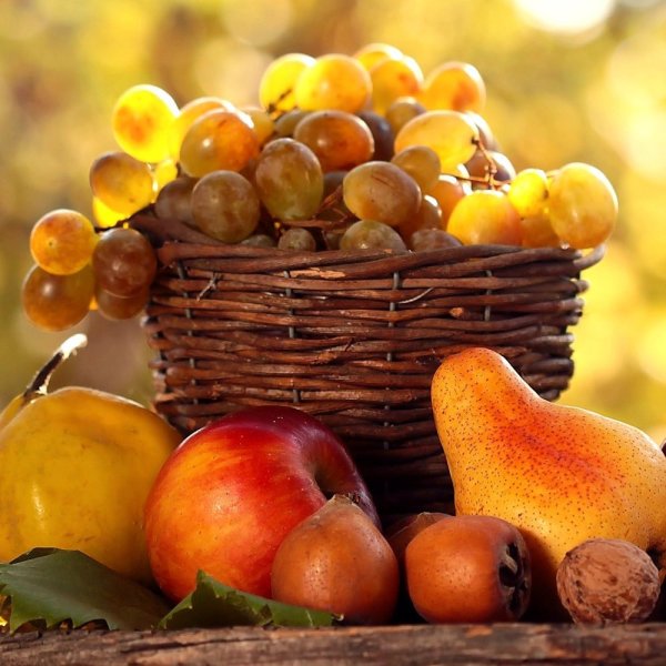 Осенние фрукты