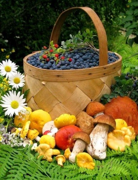 Здравствуй август