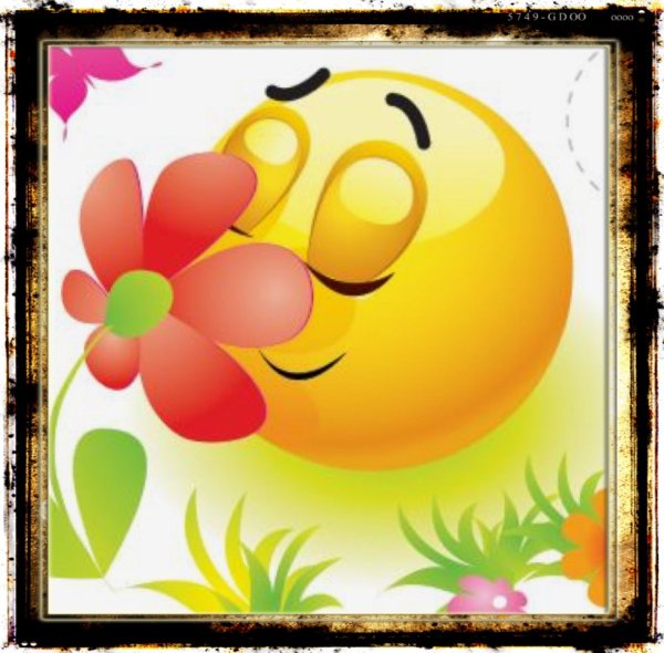 Смайлик летом