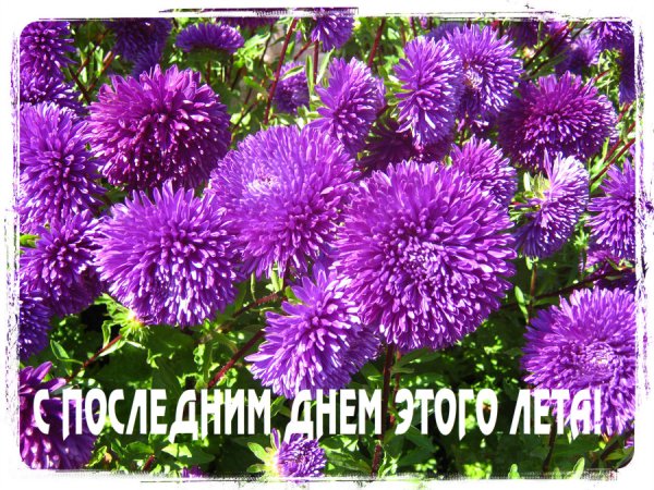 С последним днем года