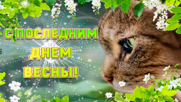 Поздравления с последним днем лета прикольные