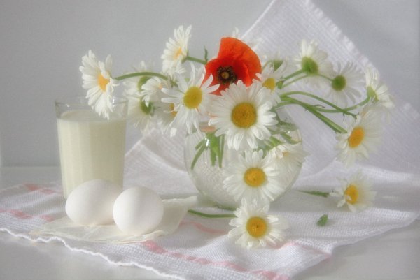 Доброе утро ромашки