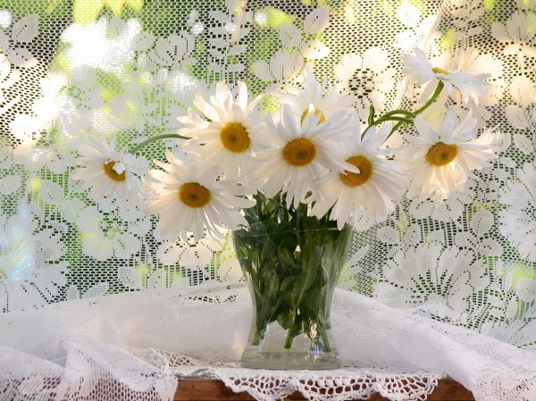 Мерцающие ромашки