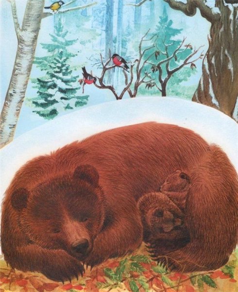 Берлога медведя мультяшная