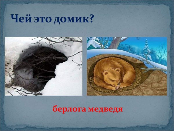 Медвежонок мультяшный в берлоге