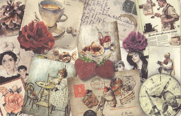 Полевые цветы маргаритки