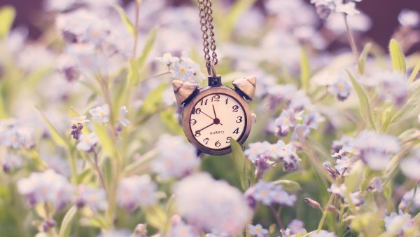 Винтажные летние платья