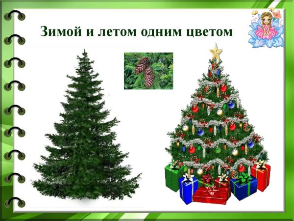 Зимой и летом одним цветом