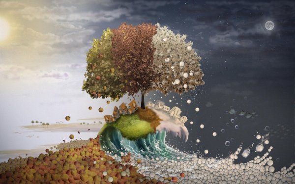 Яцек Йерка дерево